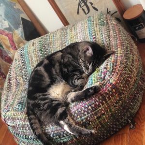 Meet your Posher, Kenny